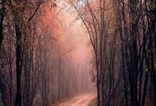 体彩网足球比分怎么用？查询技巧、分析方法与注意事项全解析