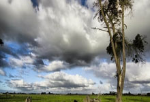 中国男足U18今晚直播在哪看？比赛看点与队伍近况全解析